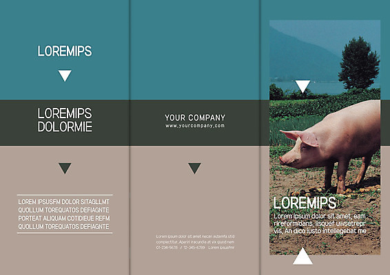 나무 템플릿 한마리 표지디자인 북디자인 출판디자인 표지 리플렛 북커버 3단접지 팜플렛 사람없음 가축 돼지 이미지템플릿 AI파일 식물 동물 1 포유류 파일형식 벡터