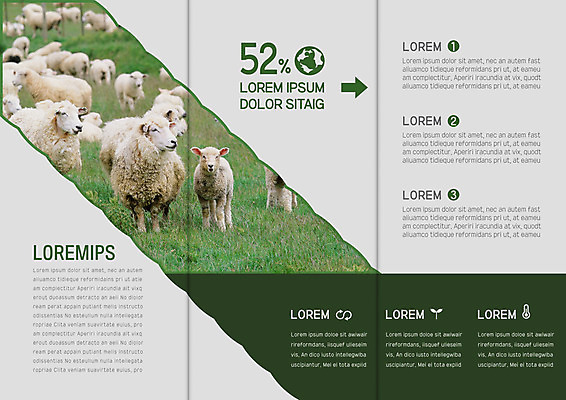 템플릿 표지디자인 북디자인 출판디자인 내지 리플렛 북커버 여러마리 3단접지 팜플렛 사람없음 가축 목장 양 이미지템플릿 AI파일 동물 다수 포유류 파일형식 벡터