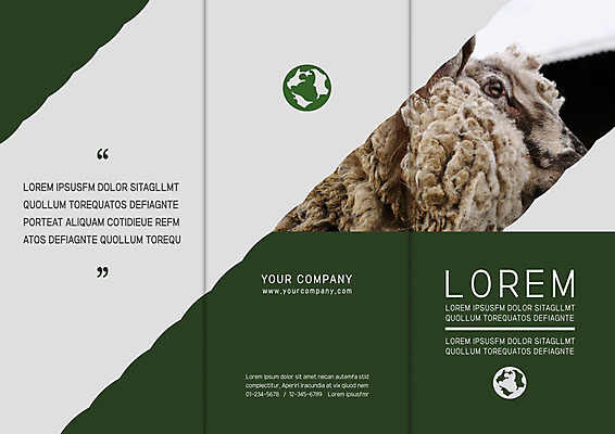 템플릿 표지디자인 북디자인 출판디자인 표지 리플렛 북커버 3단접지 팜플렛 사람없음 지구본 가축 양 양털 이미지템플릿 AI파일 동물 포유류 파일형식 벡터