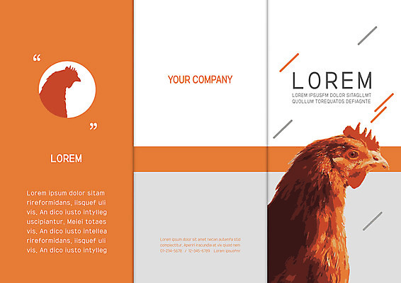 템플릿 표지디자인 북디자인 출판디자인 표지 리플렛 북커버 3단접지 팜플렛 사람없음 가축 닭 이미지템플릿 AI파일 동물 조류 파일형식 벡터
