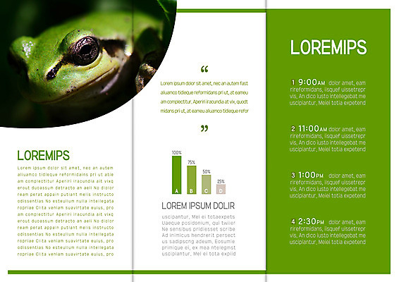 템플릿 표지디자인 북디자인 출판디자인 내지 리플렛 북커버 3단접지 자연 그래프 팜플렛 사람없음 청개구리 이미지템플릿 AI파일 개구리 생태계 파일형식 벡터