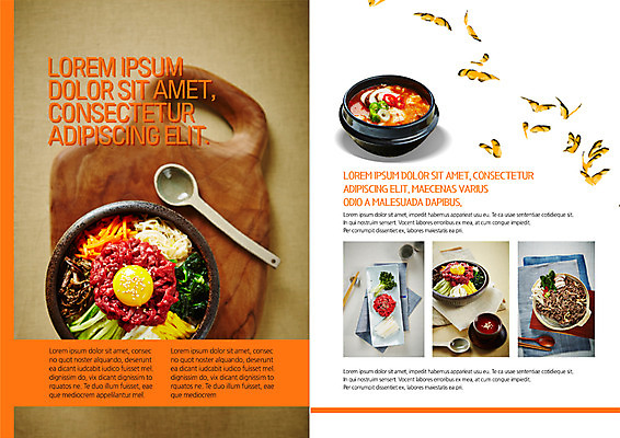 PSD 템플릿 접시 표지디자인 북디자인 출판디자인 내지 한식 음식 리플렛 나비 북커버 팜플렛 사람없음 숟가락 탕 나물 불고기 조각보 육회 날계란 돌솥비빔밥 육회비빔밥 이미지템플릿 식기 곤충 채소 수저 생고기 계란 보자기_천 비빔밥 파일형식