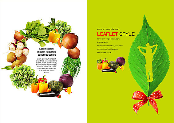 PSD 템플릿 표지디자인 북디자인 출판디자인 표지 실루엣 리본 리플렛 북커버 식재료 호박 가지 양파 피망 나뭇잎 감자 팜플렛 사람없음 당근 목마 배추 유기농 양배추 열무 이미지템플릿 웰빙 잎 채소 뿌리채소 촬영기법 무 파일형식