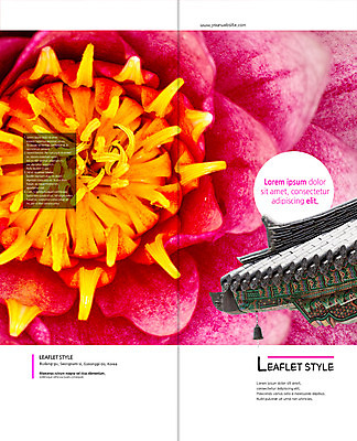 PSD 템플릿 표지디자인 북디자인 출판디자인 표지 리플렛 불교 2단접지 북커버 종교시설 연꽃 팜플렛 사람없음 사찰 처마 경쇠 이미지템플릿 꽃 종교 종교건축 불교용품 시설 파일형식