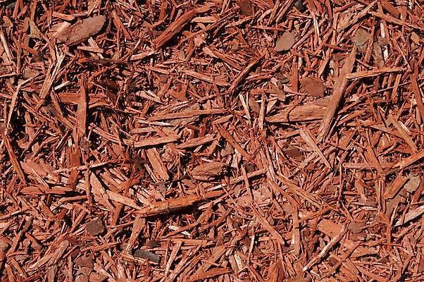 포토 JPG 해외이미지 백그라운드 사람없음 야외 목재 정원 덮개 원예 질감 다리찢기 내추럴 땅바닥 삼나무 해외202004 해외포토 나무 재료 모션 바닥 취미 뚜껑 파일형식 이미지허브