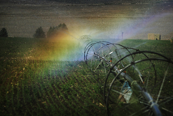 포토 JPG 해외이미지 식물 음식 무지개 밭 농업 채소 자연 풍경 사람없음 야외 초록색 물 여름 농장 기계 장비 수확 시골 땅 유기농 분무기 시스템 땅바닥 밭일 스프링쿨러 해외202004 해외포토 자연요소 웰빙 계절 산업 컬러 바닥 생태계 파일형식 이미지허브