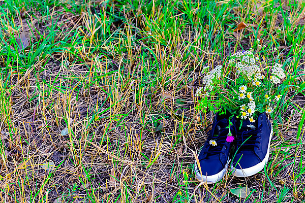 포토 JPG 해외이미지 식물 꽃 분홍색 꽃다발 신발 잎 꽃무늬 자연 사람없음 초록색 여름 컬러풀 소풍 노란색 정원 꽃병 봄 산책 벚꽃 가을 흰색 신선 냄비 시골집 원예 데이지 고립 해외202004 해외포토 계절 컬러 무늬 휴식 주택 취미 야외활동 솥 생태계 파일형식 이미지허브