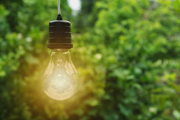 포토 JPG 해외이미지 모양 디자인 백그라운드 컨셉 비즈니스 전구 가정 자연 유리 조명 아이디어 매달리기 창조 사람없음 초록색 빛 환경 검은색 힘 재활용 장비 저축 에너지 흰색 램프 보호 정상 대표 오브젝트 백열등 만들기 빛망울 혁명 광 발명 효율 스타일 미니멀 해외202004 해외포토 컬러 모션 재질 금융 친환경 생태계 파일형식 이미지허브