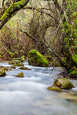 포토 JPG 해외이미지 나무 식물 길 여행 잎 자연 풍경 사람없음 초록색 물 강 환경 계곡 침묵 활발 흐름 가을 바위 나뭇가지 신선 개울 스페인 숲 강가 시원함 암초 해외202004 해외포토 자연요소 계절 유럽 컬러 컨셉 소리 돌_바위 생태계 파일형식 이미지허브