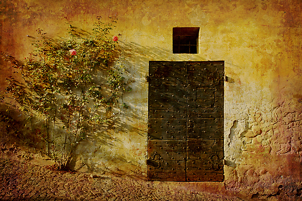 포토 JPG 해외이미지 식물 전통 벽 여행 건축양식 휴가 창조 사람없음 건물 가로 문 마을 이탈리아 수확 골동품 시골 시간 얼룩 중세 복고 보안 엽서 산기슭 그런지 썩음 옛날 해외202004 해외포토 건축물 건축 유럽 농업 산 안전 역사 편지 파일형식 이미지허브