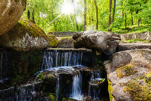 포토 JPG 해외이미지 나무 계절 공원 여행 백그라운드 자연 휴가 풍경 사람없음 야외 초록색 물 여름 파란색 햇빛 태양 평화 환경 침묵 봄 폭포 시골 숲 장면 내추럴 우크라이나 해외202004 해외포토 자연요소 식물 공공시설 유럽 컬러 컨셉 소리 생태계 파일형식 이미지허브
