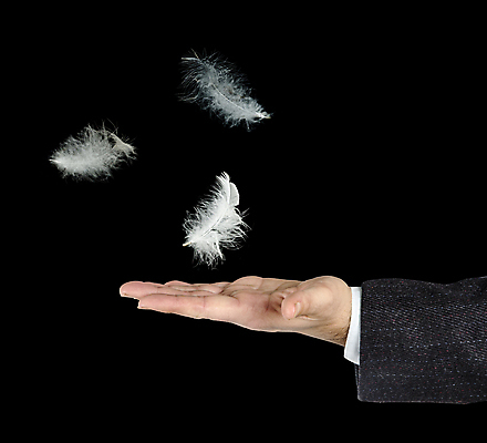 포토 JPG 해외이미지 손 백그라운드 조류 손바닥 3 사람 사람없음 검은색 흰색 닫기 떨어짐 깃털 팔 고립 해외202004 해외포토 동물 컬러 컨셉 모션 신체부위 파일형식 이미지허브