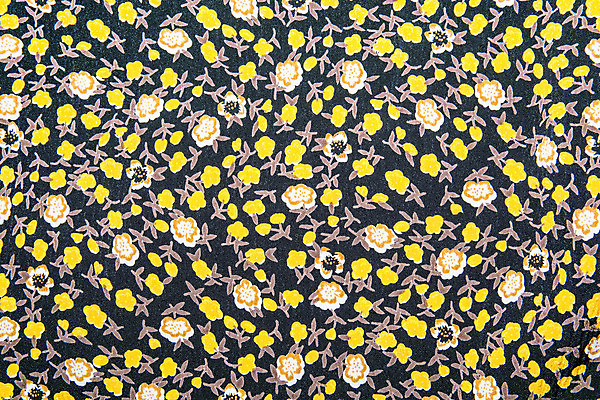 포토 JPG 해외이미지 식물 디자인 열매 꽃 꽃다발 백그라운드 잎 꽃무늬 패턴 곡선 일러스트 자연 벽지 미술 사람없음 장식 컬러풀 노란색 유행 견본 정원 봄 수확 벚꽃 나뭇가지 직물 우아함 인쇄 배열 질감 복고 내추럴 해외202004 해외포토 나무 계절 선 컬러 컨셉 무늬 농업 문화예술 생태계 파일형식 이미지허브