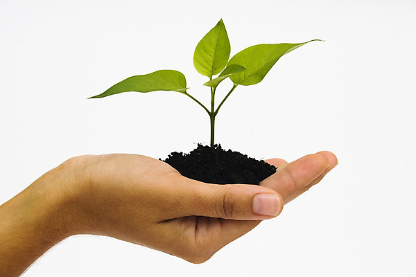 포토 JPG 해외이미지 컨셉 잎 상상 자연 성공 아이디어 손바닥 안전 사람없음 초록색 새싹 환경 희망 흙 꿈 성장 업무 보호 심볼 호기심 시작 먼지 부드러움 돌봄 모종 생태학 심기 처음 취급주의 해외202004 해외포토 식물 손 교육 감정 컬러 모션 경고 작업 감각 생태계 파일형식 이미지허브