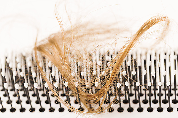 포토 JPG 해외이미지 근접촬영 사람없음 뷰티 머리카락 머리빗 흰배경 헤어관리 탈모 탈모클리닉 해외202004 탈모예방 해외포토 뷰포인트 백그라운드 머리 흰색 미용용품 예방 클리닉 증상 파일형식 이미지허브