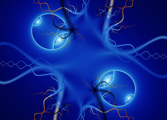 포토 JPG 해외이미지 디자인 과학 백그라운드 컨셉 곡선 일러스트 벽지 추상 미래 나선형 미술 사람없음 그래픽 장식 파란색 유행 3D 우주 디지털 검은색 희망 에너지 소용돌이 네트워크 우아함 매끈함 유기농 질감 웨이브 서식 역동적 전자 엘리먼트 테크노 스타일 해외202004 해외포토 웰빙 감정 선 컬러 무늬 문화예술 회오리 감각 디지털합성 파일형식 이미지허브