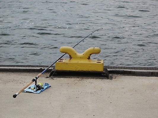 포토 JPG 해외이미지 스포츠 낚시 휴식 어류 취미 사람없음 물 낚시꾼 해외202004 해외포토 자연요소 컨셉 레저 수중동물 파일형식 이미지허브