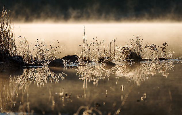 포토 JPG 해외이미지 호수 자연 표면 사람없음 물 빛 햇빛 반사 맑음 침묵 추위 안개 신선 잡초 소프트포커스 시원함 서리 암초 결정체 내추럴 뿌연 해외202004 해외포토 자연요소 식물 날씨 촬영기법 태양 소리 생태계 파일형식 이미지허브