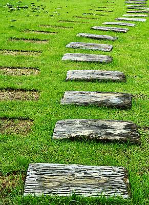 포토 JPG 해외이미지 공원 도로 길 백그라운드 컨셉 밭 자연 휴식 안내 숙이기 동양인 풍경 잔디 사람없음 야외 옆모습 초록색 여름 평화 정원 화목 산책 바위 시골 보행로 오솔길 원예 조경 내추럴 뒤뜰 루트 방법 해외202004 해외포토 식물 계절 공공시설 뷰포인트 컬러 포즈 농업 교통시설 인종 취미 돌_바위 생태계 파일형식 이미지허브