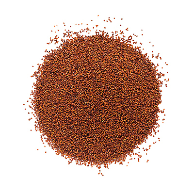 포토 JPG 해외이미지 사람없음 흰색 낟알 향신료 겨자씨 해외202004 해외포토 컬러 씨앗 향미료 파일형식 이미지허브