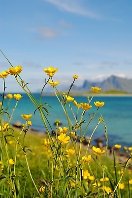 포토 JPG 해외이미지 사람없음 해외202004 해외포토 파일형식 이미지허브