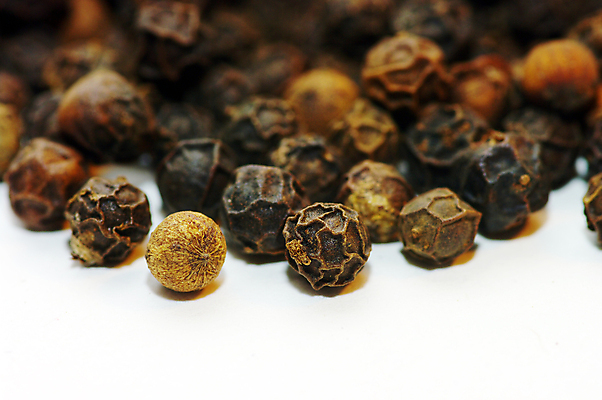 포토 JPG 해외이미지 음식 백그라운드 텍스트 건조 요리 씨앗 사람없음 갈색 식당 검은색 식사 저녁식사 흰색 뜨거움 양념 조미료 고수 가루 인도인 먹기 허브 오브젝트 메뉴 유기농 질감 매움 향 레시피 후추 성분 내추럴 찌그러짐 땅바닥 해외202004 해외포토 외국인 식물 웰빙 컬러 컨셉 모션 바닥 동양인 상점 맛 향신료 향미료 파일형식 이미지허브