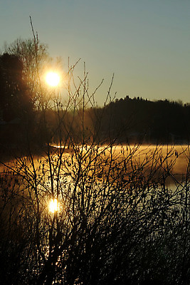 포토 JPG 해외이미지 식물 호수 자연 아침 풍경 사람없음 세로 햇빛 태양 일출 일몰 봄 안개 나뭇가지 황금 해외202004 해외포토 주간 자연요소 나무 계절 날씨 노을 생태계 파일형식 이미지허브