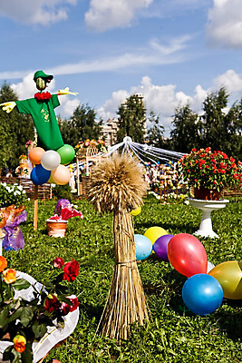 포토 JPG 해외이미지 식물 꽃 음식 줄기 꽃다발 농업 자연 하늘 건강 씨앗 사람없음 초록색 농작물 시골 시리얼 밀 보리 장면 해외202004 해외포토 산업 컬러 곡류 생태계 파일형식 이미지허브