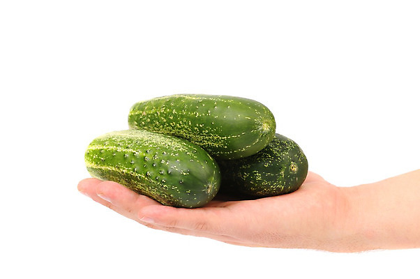 포토 JPG 해외이미지 식물 라이프스타일 손 음식 백그라운드 십자가 다이어트 채소 재료 자연 오이 건강 사람없음 초록색 흰색 신선 잡기 4 닫기 먹기 오브젝트 상쾌 유기농 날것 고립 숙성 오이피클 채식주의자 해외202004 해외포토 웰빙 감정 컬러 모션 생활 신체부위 숫자 생태계 채식 피클 파일형식 이미지허브