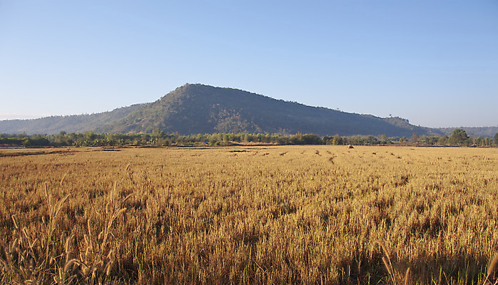 포토 JPG 해외이미지 구름 여행 밭 태국 밥 산 풍경 사람없음 여름 빛 햇빛 태양 일출 맑음 어둠 일몰 해외202004 해외포토 자연요소 계절 아시아 음식 농업 날씨 노을 파일형식 이미지허브