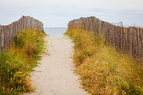 포토 JPG 해외이미지 유럽 길 모래 바다 여행 자연 하늘 풍경 사람없음 목재 초록색 물 여름 파란색 프랑스 오솔길 모래언덕 대서양 해외202004 해외포토 자연요소 나무 계절 나라 컬러 재료 언덕 생태계 파일형식 이미지허브