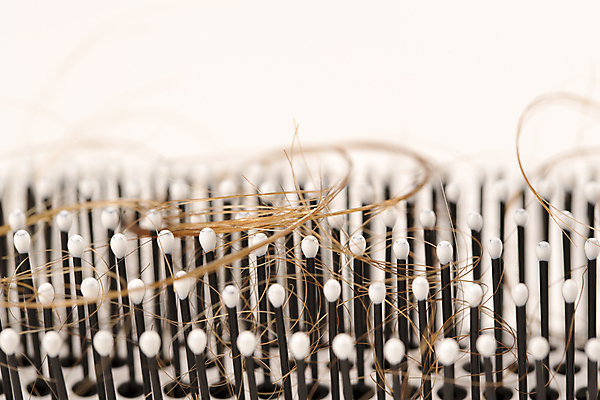 포토 JPG 해외이미지 근접촬영 사람없음 뷰티 머리카락 머리빗 흰배경 헤어관리 두피케어 탈모 탈모클리닉 해외202004 탈모예방 해외포토 뷰포인트 백그라운드 머리 흰색 미용용품 예방 클리닉 증상 파일형식 이미지허브