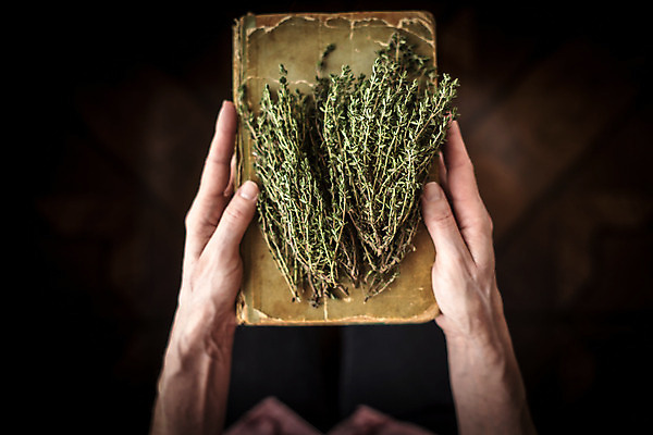 포토 JPG 해외이미지 손 종이 음식 백그라운드 재료 요리 사람 사람없음 책 가로 초록색 갈색 나뭇가지 양념 소프트포커스 다발 허브 보따리 준비 아로마 향 레시피 백리향 블러 옛날 해외202004 해외포토 나무 식물 컬러 촬영기법 신체부위 파일형식 이미지허브