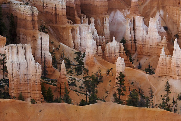 포토 JPG 해외이미지 나무 여행 오렌지 자연 휴가 산 풍경 사람없음 빨간색 골짜기 미국 사막 시골 그랜드캐니언 서쪽 평야 해외202004 해외포토 식물 컬러 북아메리카 과일 방향 생태계 파일형식 이미지허브