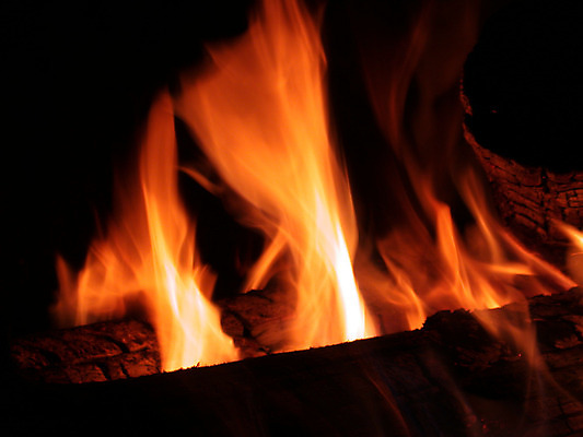 포토 JPG 해외이미지 나무 응시 사람없음 빨간색 빛 소풍 노란색 검은색 뜨거움 센터 야간 위험 모닥불 통나무 해외202004 해외포토 자연요소 식물 시선 컬러 컨셉 불 야외활동 파일형식 이미지허브