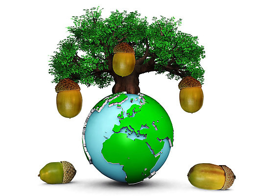 포토 JPG 해외이미지 나무 지구 잎 일러스트 자연 사람없음 초록색 파란색 세계 글로벌 환경 행성 견과류 성장 도토리 해외202004 해외포토 식물 컬러 우주 생태계 파일형식 이미지허브