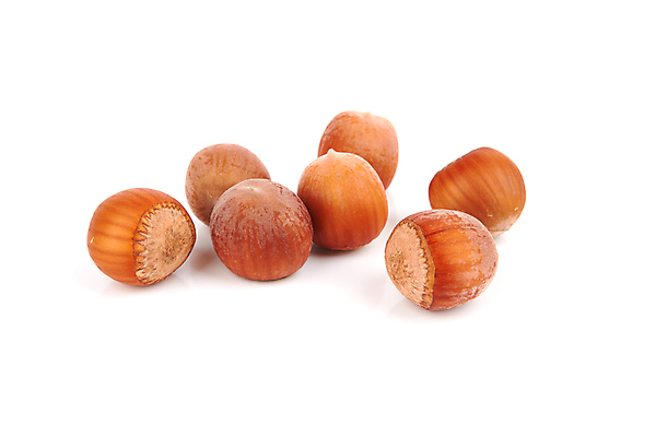 포토 JPG 해외이미지 계절 음식 백그라운드 재료 건강 사람없음 힘 에너지 견과류 껍질 가을 흰색 조미료 그룹 닫기 맛 오브젝트 향료 칼로리 흙더미 내추럴 개암나무 고립 식용 어려움 채식주의자 개암 해외202004 해외포토 나무 열매 컬러 컨셉 모션 흙 채식 향기 냄새 향미료 파일형식 더미 이미지허브