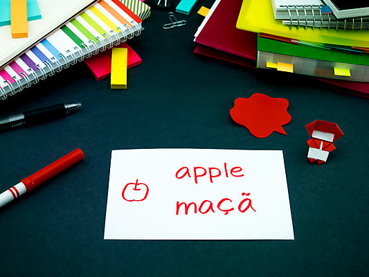 포토 JPG 해외이미지 학생 영어 교육 문화 텍스트 통신 교실 학교 수업 사람없음 책 단어 스터디 세계 글로벌 연필 펜 쪽지 공책 거품 시험 퀴즈 가르침 사과 강의 포르투갈 풍선 사전 닌자 소셜 번역 해외202004 해외포토 문자 유럽 과일 문구용품 학용품 학습 필기구 파일형식 이미지허브