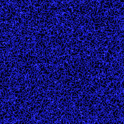 포토 JPG 해외이미지 디자인 선 백그라운드 패턴 곡선 표면 추상 기술 사람없음 초록색 파란색 빛 디지털 경작 보라색 검은색 힘 줄무늬 에너지 전선 작음 번개 사이버 질감 역동적 하이테크 광 굴곡 넘어짐 발생 엘리먼트 완벽 테크노 스타일 많음 효과 해외202004 해외포토 컬러 컨셉 무늬 모션 날씨 농사 크기 파일형식 이미지허브