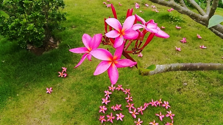 포토 JPG 해외이미지 사람없음 해외202004 해외포토 파일형식 이미지허브