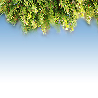 포토 JPG 해외이미지 나무 식물 전통 계절 백그라운드 잎 크리스마스 겨울 자연 벽지 휴가 새로움 선물 사람없음 목재 장식 초록색 크리스마스트리 축제 흰색 나뭇가지 축하 소나무 눈송이 숲 12월 연도 상록수 침엽수 전나무 원뿔 내추럴 고립 가문비나무 해외202004 해외포토 도형 기념일 컬러 컨셉 재료 눈_날씨 날짜 생태계 파일형식 이미지허브