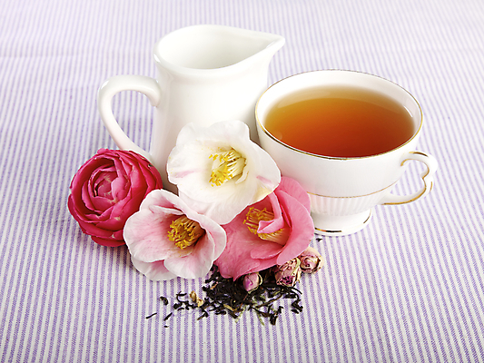 포토 JPG 해외이미지 전통 그릇 접시 영어 꽃 문화 음료 분홍색 잎 꽃무늬 가방 아침 티타임 영국 건강 사람없음 컵 장미 보라색 중국 흰색 직물 신선 시간 조끼 뜨거움 도자기 액체 찻잔 설탕 허브 묘사 만족 설정 고립 빅토리아 해외202004 해외포토 주간 식물 문자 식기 잡화 감정 유럽 아시아 컬러 무늬 휴식 잔 외투 파일형식 이미지허브