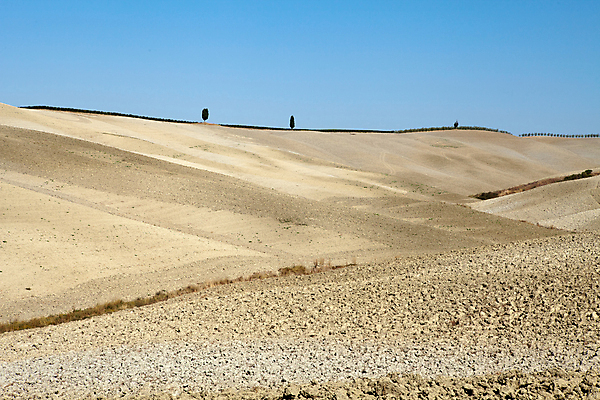 포토 JPG 해외이미지 나무 유럽 밭 농업 자연 풍경 사람없음 여름 농가 평화 환경 고요 이탈리아 달력 성장 가을 시골 만취 언덕 그림 올리브 포도밭 땅바닥 시에나 토스카나 수평선 해외202004 해외포토 식물 계절 열매 나라 산업 컨셉 바닥 농장 생태계 술취함 파일형식 이미지허브