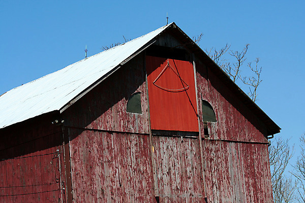 포토 JPG 해외이미지 나무 밭 농업 건축양식 자연 하늘 사람없음 건물 목재 초록색 파란색 농장 목장 시골 외양간 밭일 옛날 해외202004 해외포토 식물 건축물 건축 산업 컬러 재료 생태계 파일형식 이미지허브
