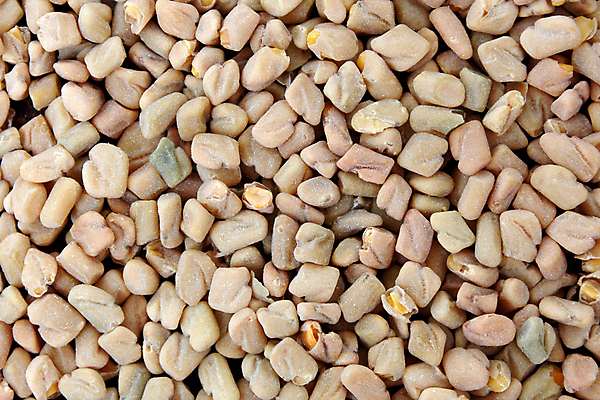 포토 JPG 해외이미지 재료 건강 씨앗 사람없음 흰색 맛 향신료 매움 해외202004 해외포토 식물 컬러 컨셉 향미료 파일형식 이미지허브