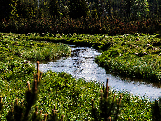 포토 JPG 해외이미지 식물 공원 여행 밭 자연 하늘 낚시 산 풍경 사람없음 야외 초록색 물 여름 파란색 강 달리기 마을 환경 봄 흐름 개울 숲 큼 수로 체코 북쪽 폴란드 내추럴 공화국 굴곡 지그재그 가문비나무 해외202004 해외포토 자연요소 나무 계절 공공시설 유럽 나라 컬러 컨셉 농업 모션 레저 크기 방향 생태계 파일형식 이미지허브