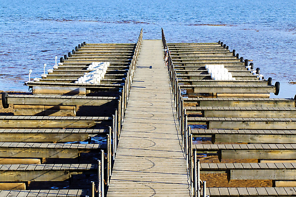 포토 JPG 해외이미지 응시 겨울 사람없음 꼬리표 해외202004 해외포토 시선 계절 라벨 파일형식 이미지허브