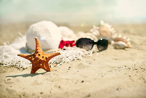 포토 JPG 해외이미지 커플 별 모래 바다 여행 백그라운드 컨셉 가방 자연 휴가 불가사리 어류 해변 사람없음 초록색 울타리 수건 태양 바구니 만 지갑 샌들 갑판 수집 휴양지 밀짚 보닛 단절 플로리다 해외202004 해외포토 자연요소 잡화 컬러 신발 배_교통 관계 자동차 극피동물 담장 위생용품 미국 수중동물 장소 짚 생태계 파일형식 이미지허브