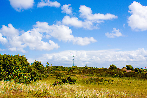 포토 JPG 해외이미지 식물 구름 계절 백그라운드 밭 자연 하늘 바람 풍경 잔디 사람없음 야외 초록색 여름 파란색 빛 컬러풀 햇빛 농장 환경 맑음 봄 재활용 풍차 발전기 에너지 시골 신선 땅 방앗간 밭일 해외202004 해외포토 자연요소 컬러 농업 날씨 태양 발전소 친환경 생태계 파일형식 이미지허브