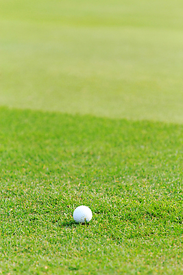 포토 JPG 해외이미지 나무 식물 직업 라이프스타일 스포츠 백그라운드 밭 골프 공 자연 놀이 휴가 풍경 잔디 사람없음 야외 초록색 여름 운동 태양 일몰 경쟁 장비 게임 흰색 골퍼 닫기 강의 오브젝트 클럽 슛 내추럴 골프티 해외202004 해외포토 자연요소 계절 컬러 컨셉 농업 모션 운동선수 골프용품 건강 생활 구기 노을 생태계 파일형식 이미지허브